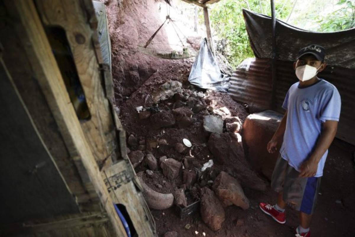 Un milagro de vida llega a un albergue en Los Pinos