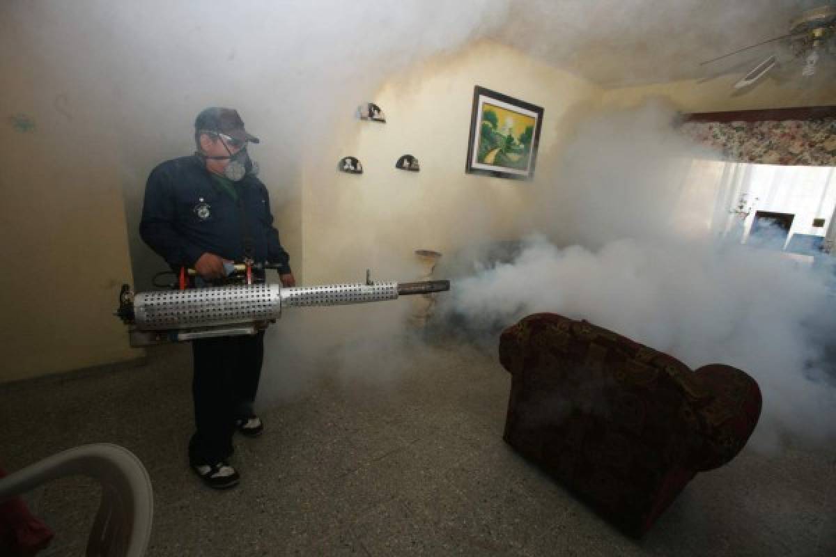 25 colonias serán intervenidas esta semana contra zika en Tegucigalpa