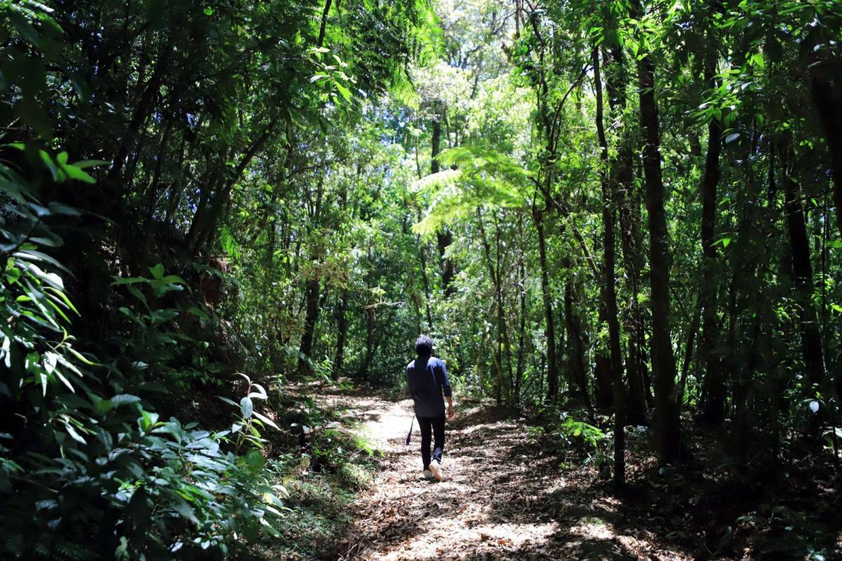 La Tigra, la reserva que esconde una belleza natural y una aventura mágica