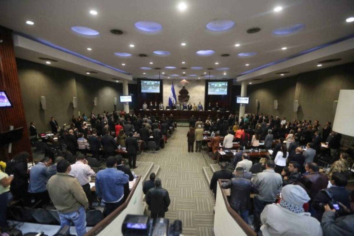 Las leyes que facilitarán el trabajo de la misión de la OEA