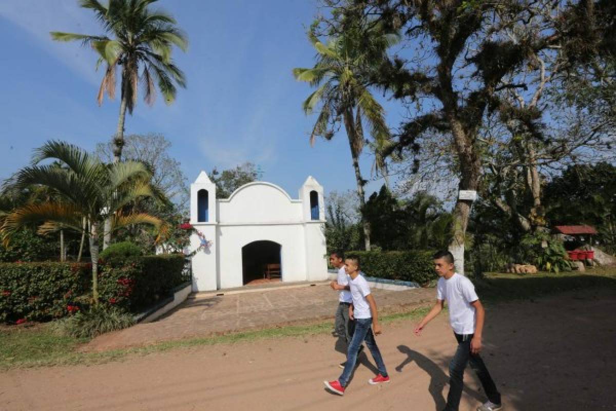 Disfrute la vida del campo en Hacienda Montecristo, Copán