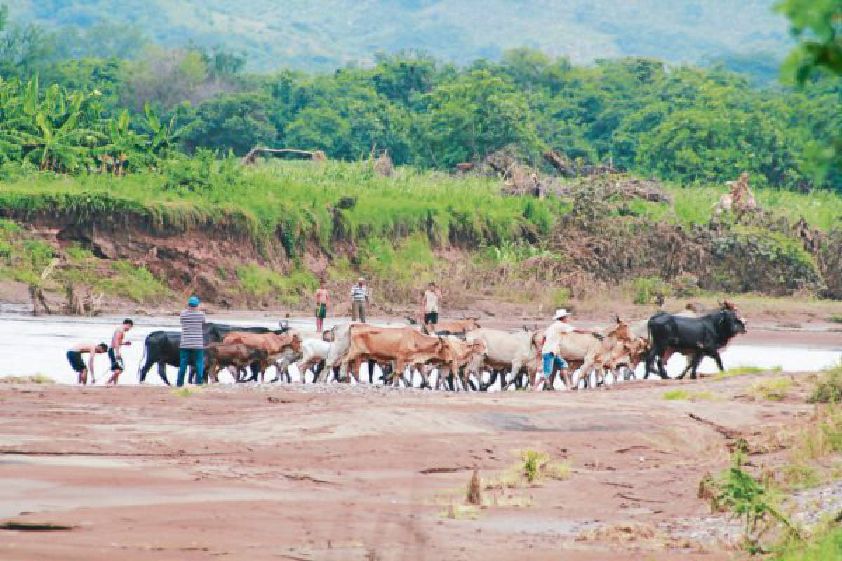 Construyen bordos con sacos de arena