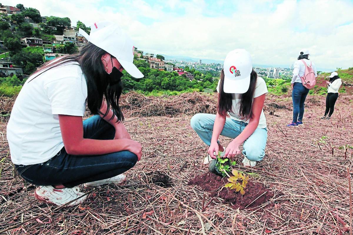 Inicia la novena edición ecológica de Escuelas Amigables con el Ambiente