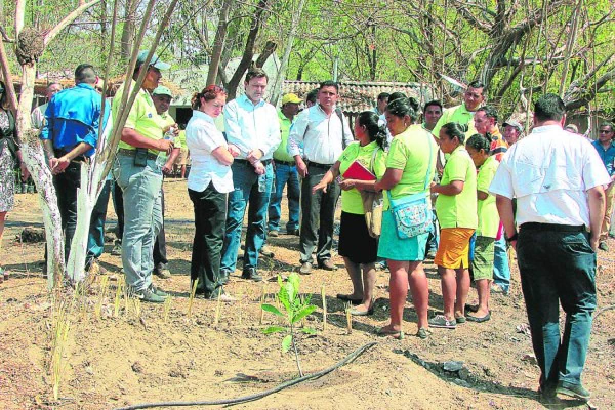 Apoyarán a productores de trece municipios afectados por la sequía