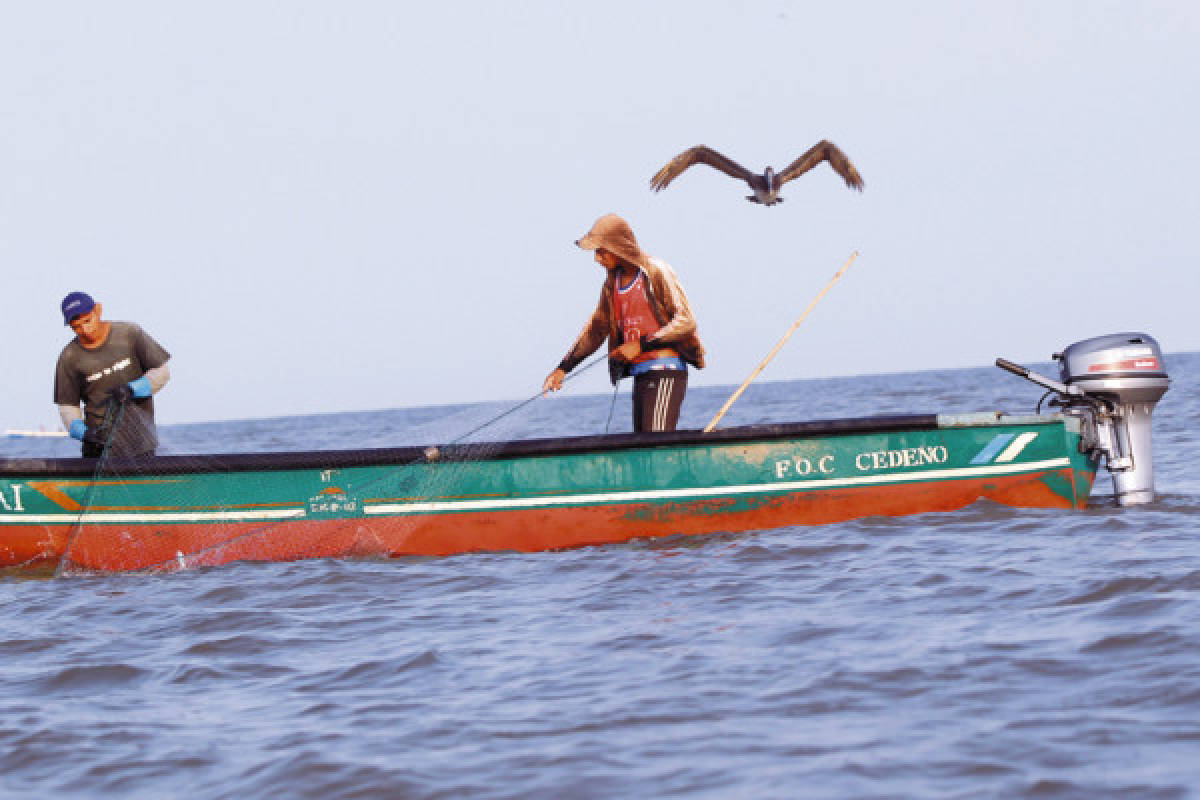 UE anuncia L580 millones para Golfo de Fonseca