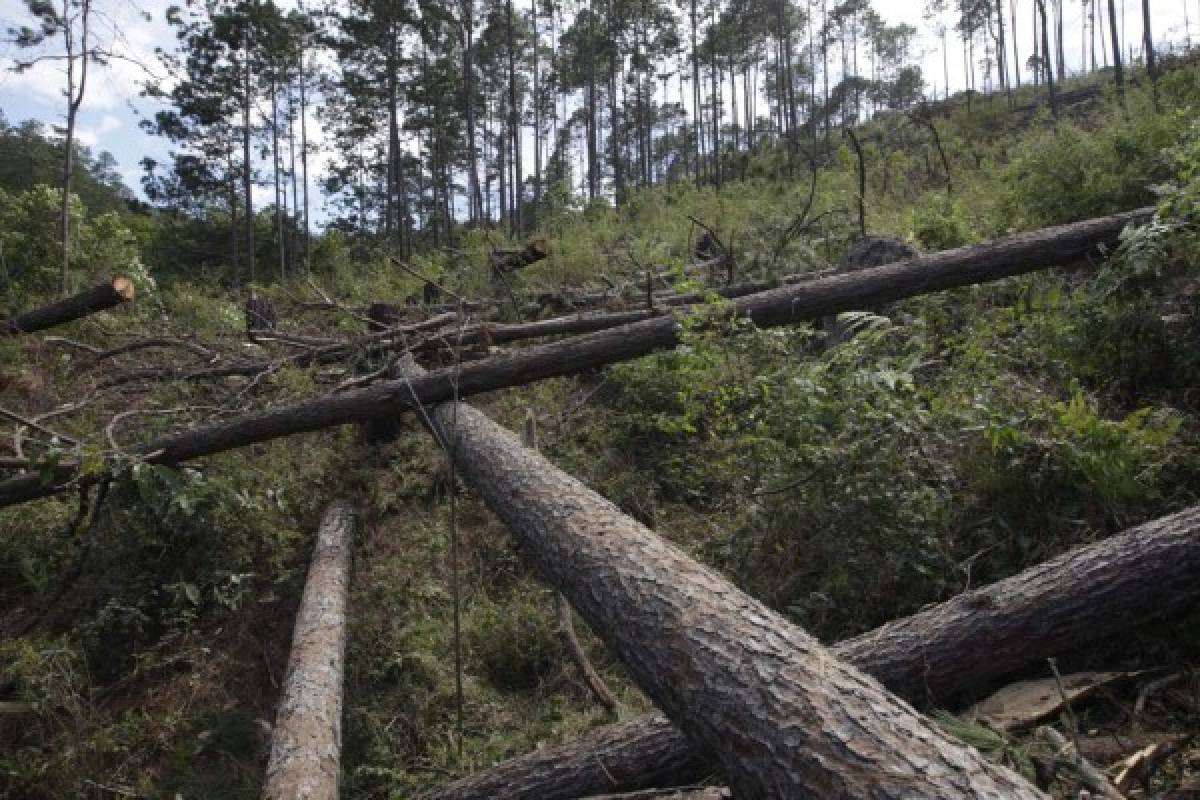 Gestores de La Tigra y Yerba Buena a la espera de fondos de la Ecotasa