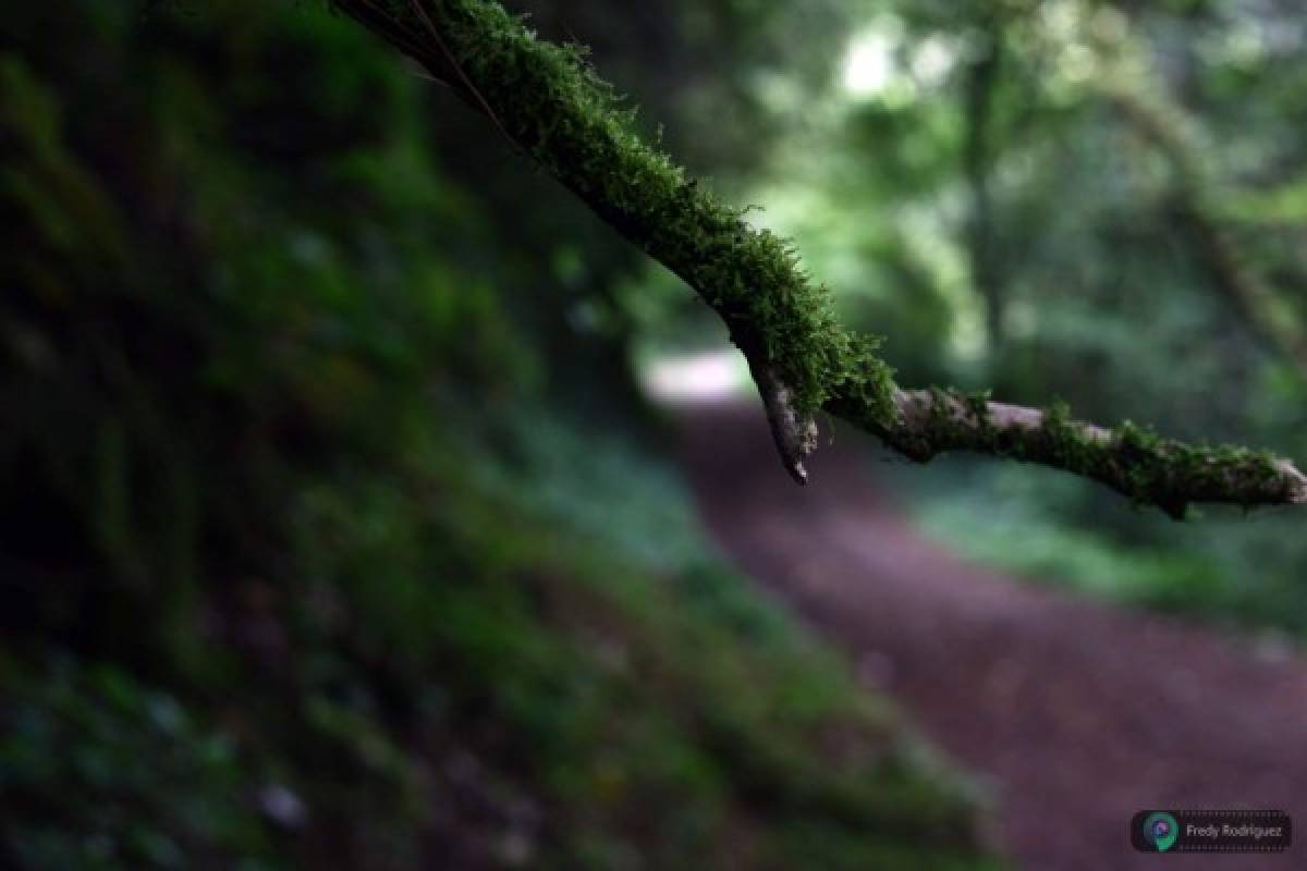 San Juancito, un legado de riqueza histórica y natural