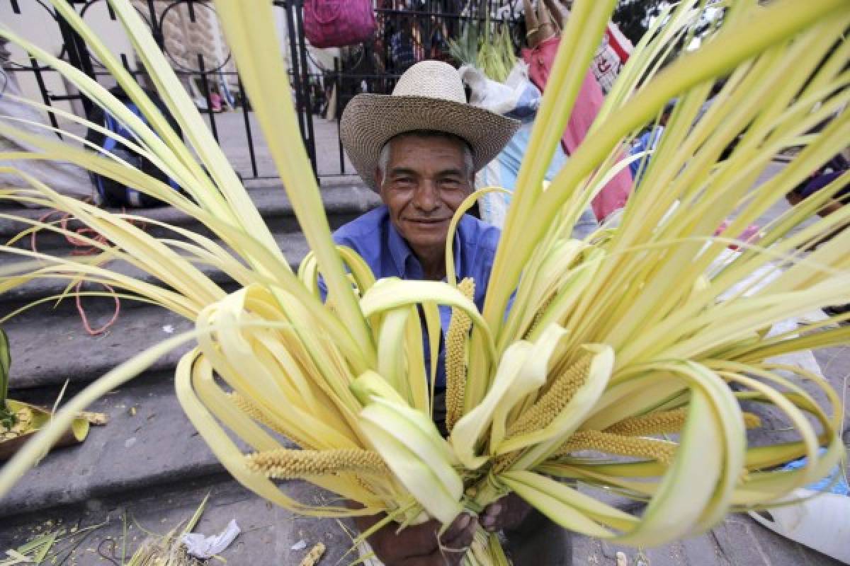 El verde esperanza de las benditas palmas de coyol reviste la capital