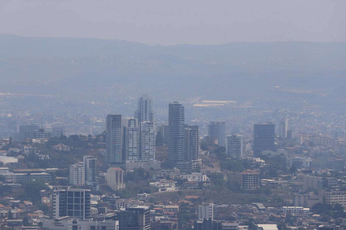 ¿Cuántas hectáreas de bosque dañó el incendio forestal en El Hatillo y La Tigra?