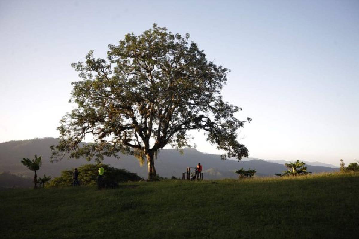 Finca Santa Emilia, un rincón para dejarse consentir por la madre naturaleza