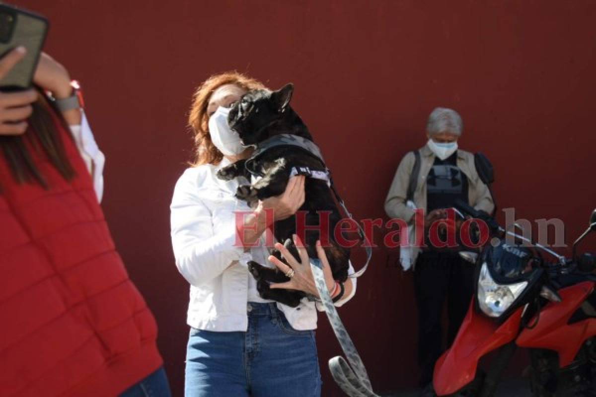 Luis Zelaya llega a votar junto a su esposa y su perrita Kemba (FOTOS)