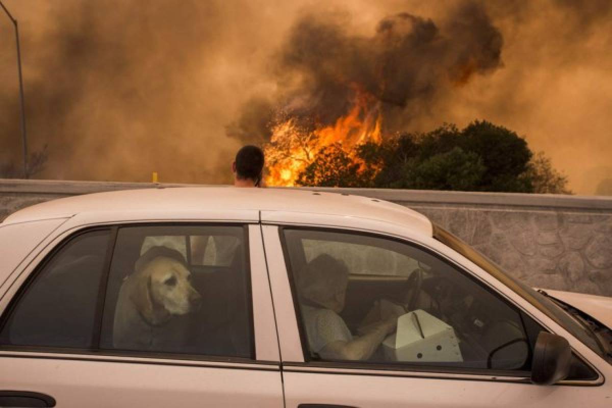 Miles de evacuados por voraz incendio en oeste de EEUU