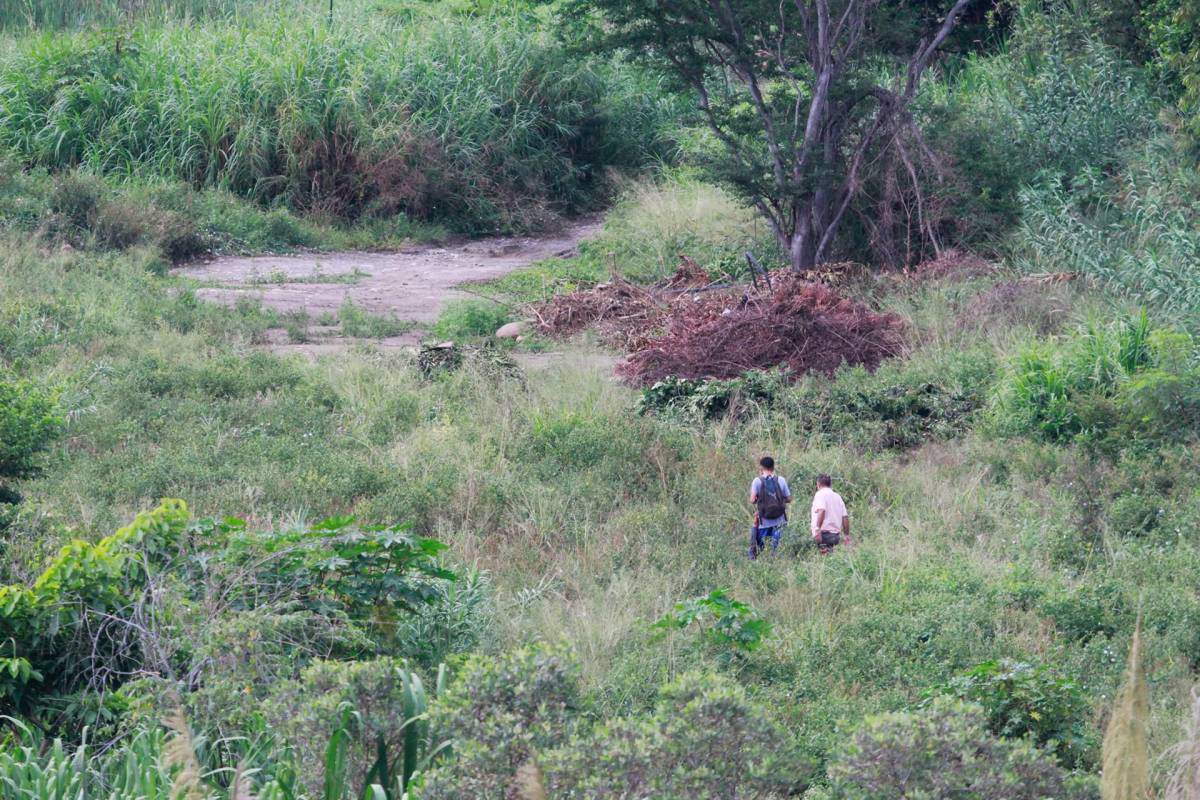 Para evitar ingreso de Edmundo González, Venezuela cierra frontera terrestre y aérea con Colombia