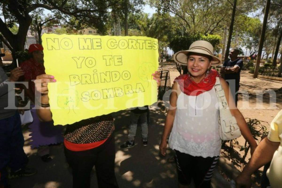 Tegucigalpa: Capitalinos protestan por supuesto plan para talar árboles en parque La Leona