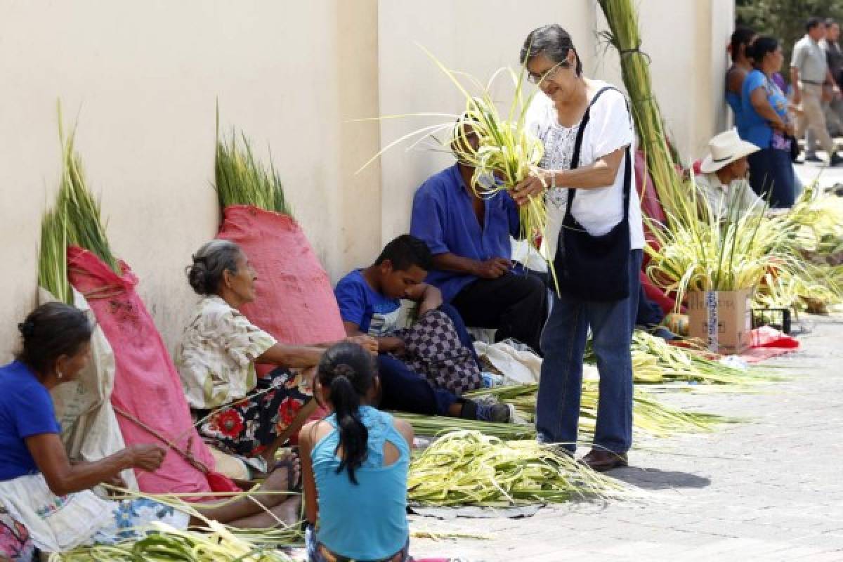 El verde esperanza de las benditas palmas de coyol reviste la capital