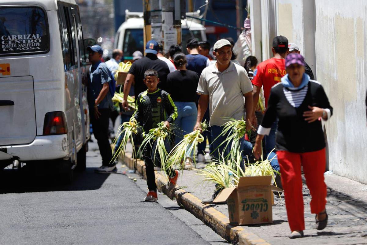 Llega la venta ramos de olivo al centro de la capital