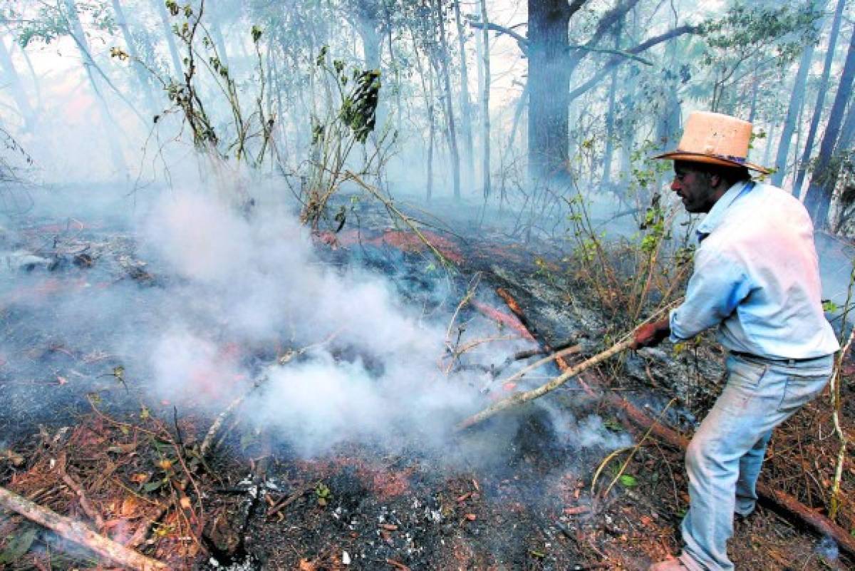 Fuertes incendios asfixian la capital