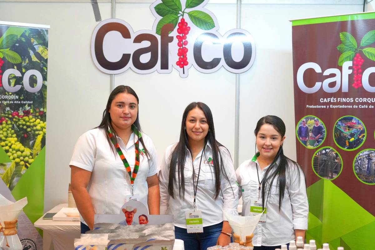 <i>CAFICO produce variedades de café certificadas por el World Coffee Research.</i>