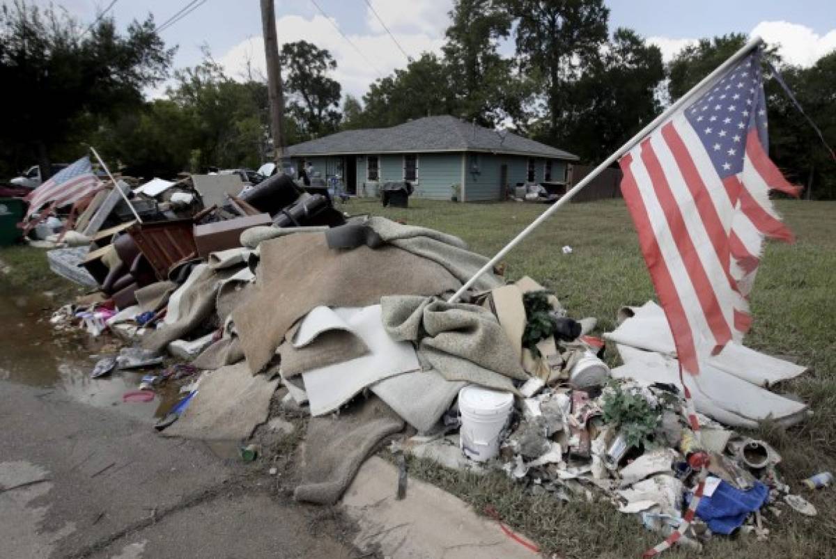 Advierten proliferación de mosquitos tras Harvey