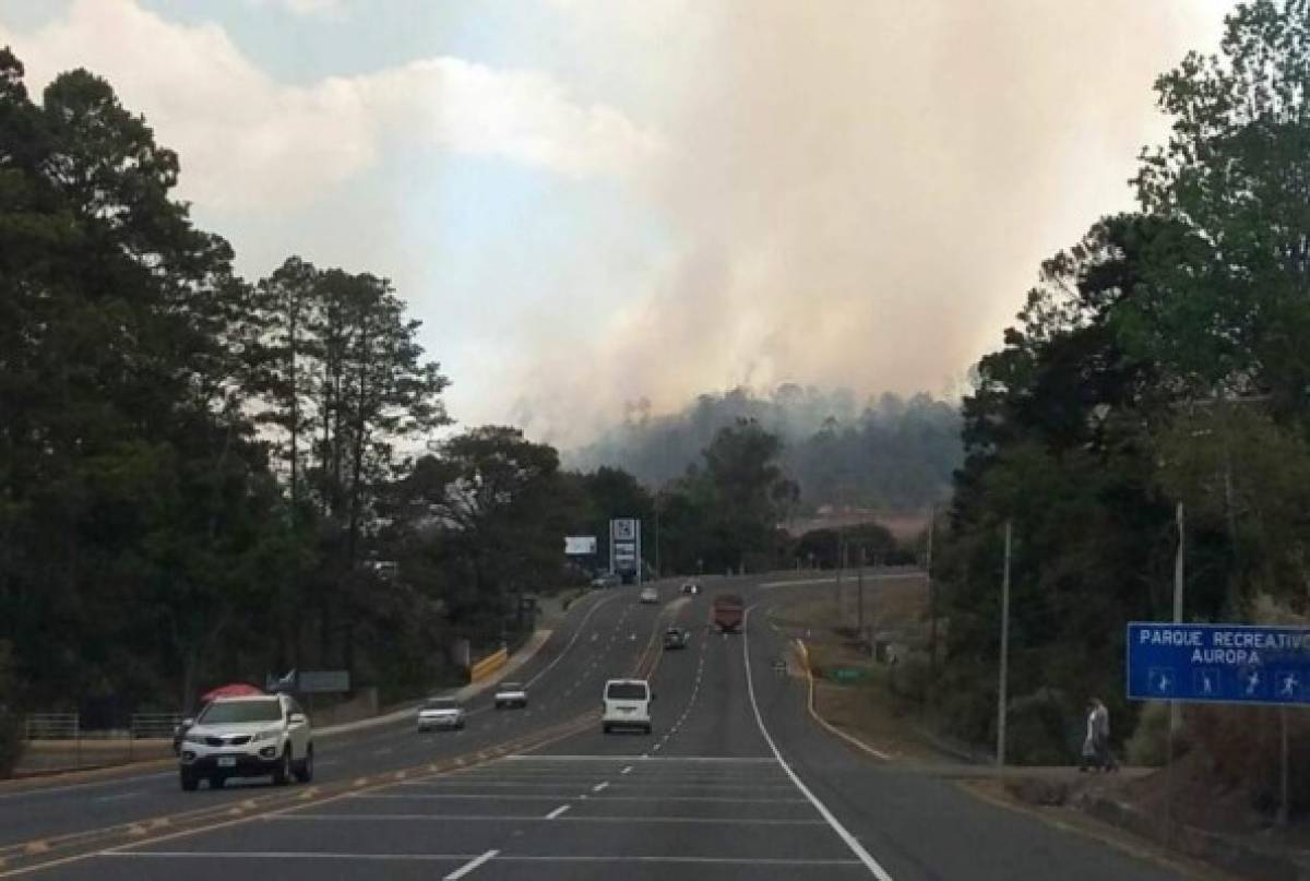 Incendio comienza a devorar un sector del Parque Recreativo Aurora