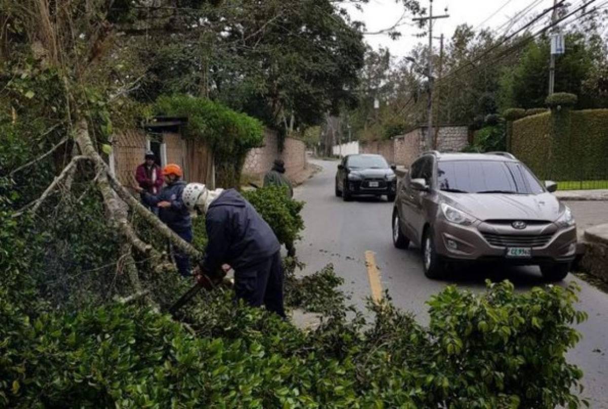 Honduras: Advierten fuertes ráfagas de viento que pueden provocar caída de árboles, rótulos y levantamiento de techos