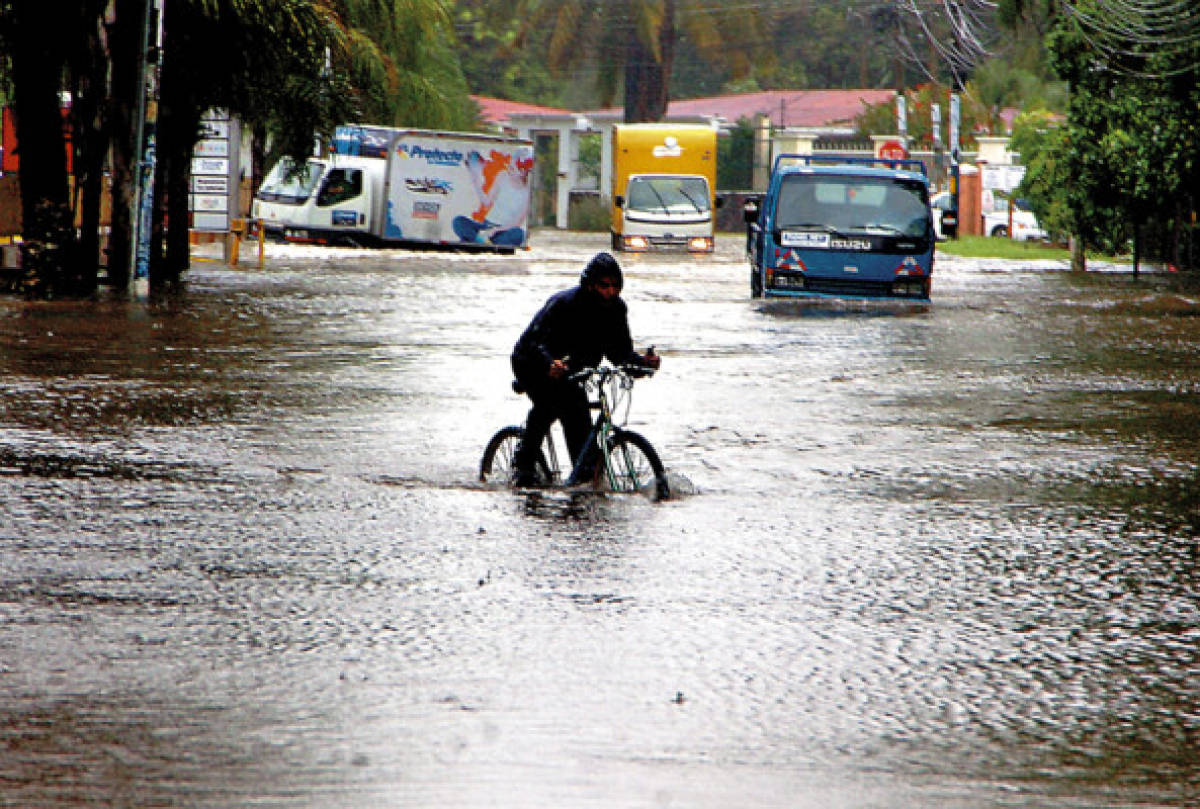 Caos y destrucción provoca frente frío