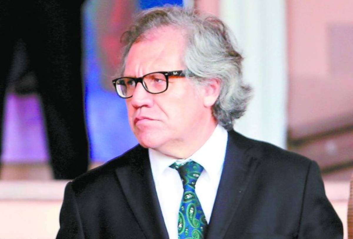 Maccih se guiará con independencia: Almagro