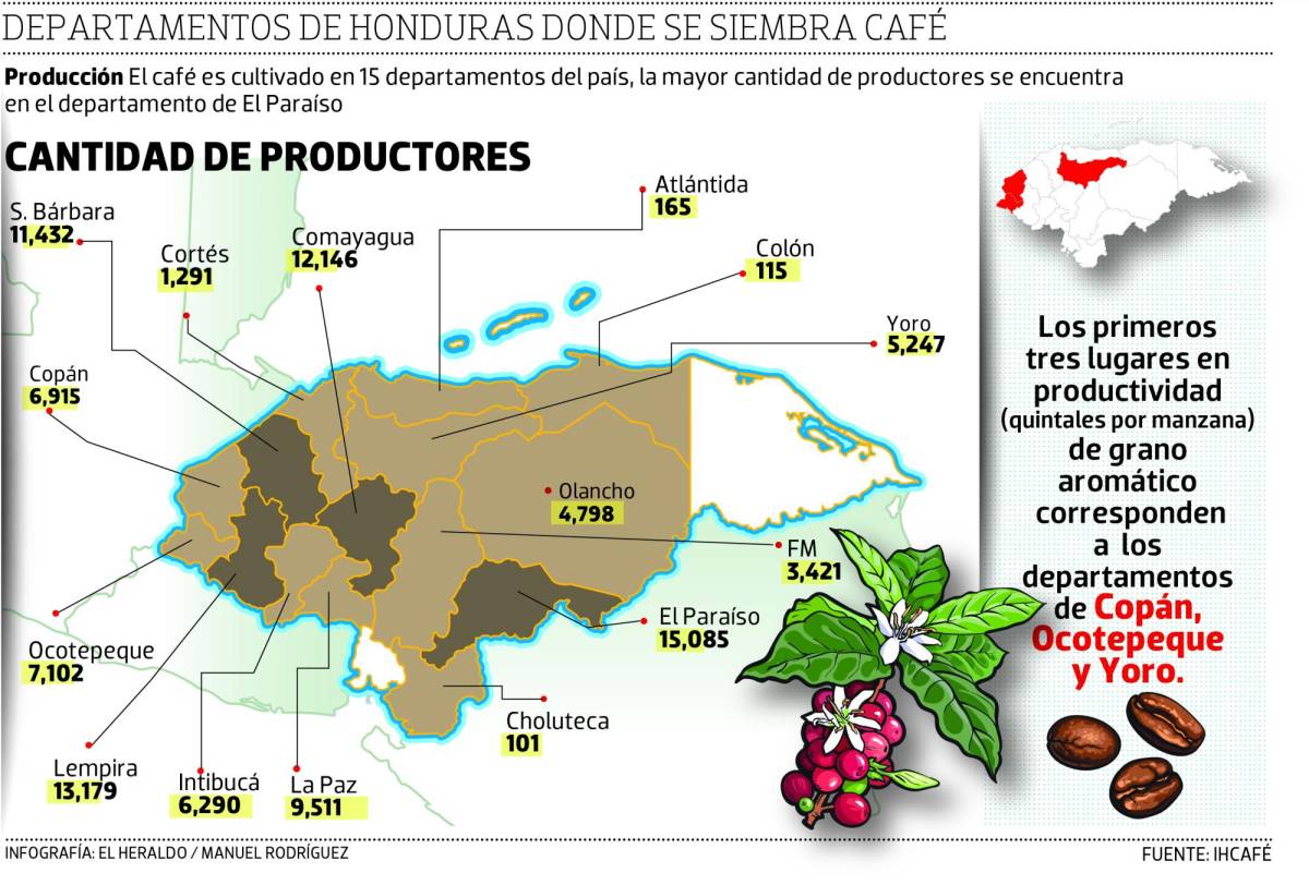El mapa muestra los departamentos donde se produce café.
