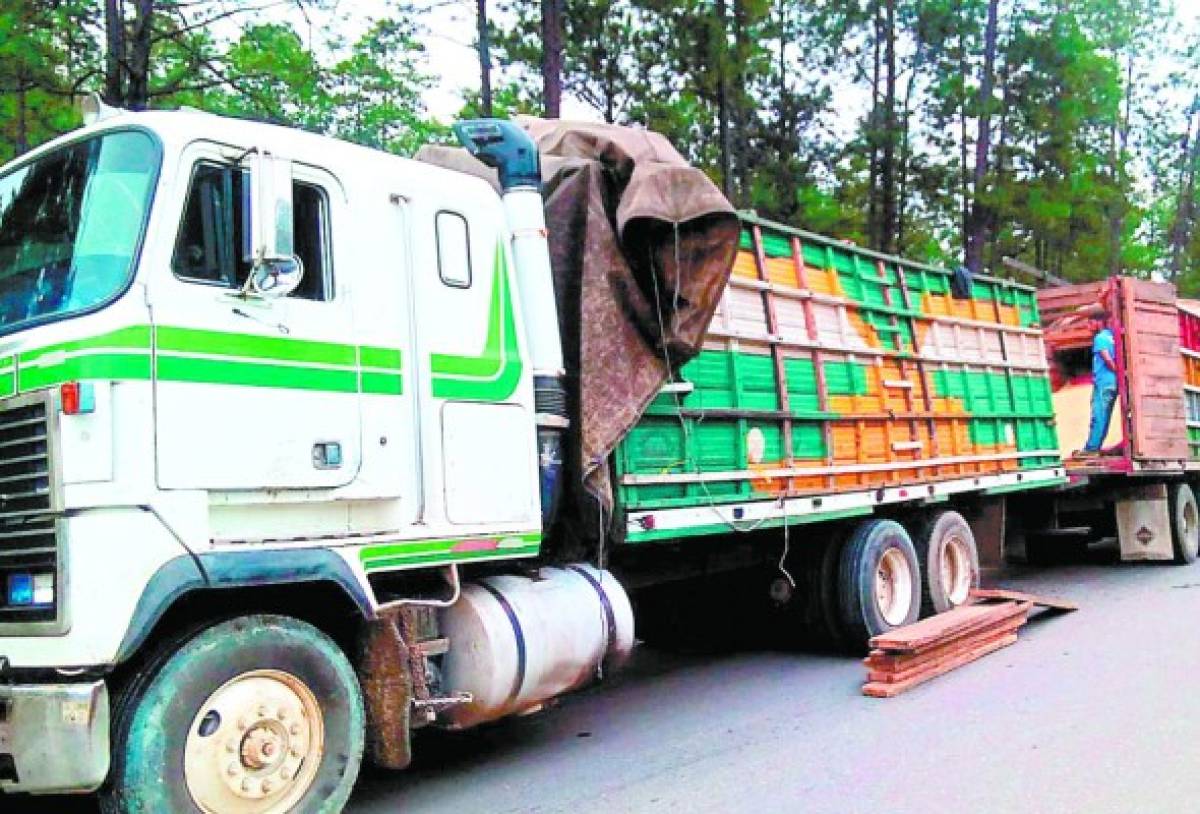 De robo acusan a banda que asaltó camión con maíz