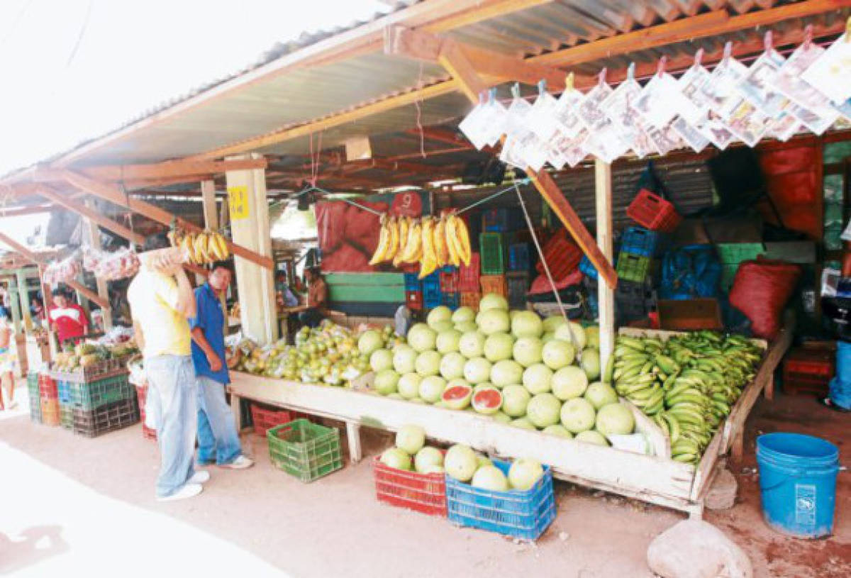 Pequeños productores cubren demanda capitalina