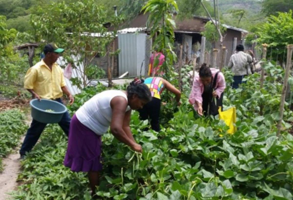 Cooperación Canadiense dona cosechas de agua en la zona sur