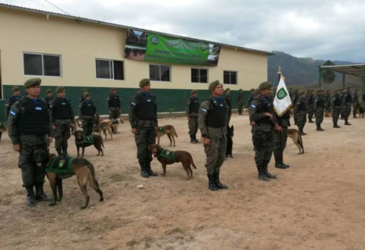 Honduras: Gradúan a grupo de guías caninos