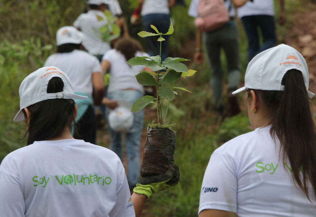 Fundación Terra y escolares al rescate del bosque de la capital