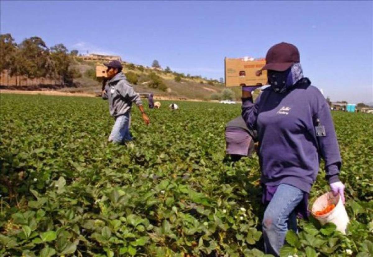 De 53 mil, solo el 1% de hondureños se ha inscrito al TPS