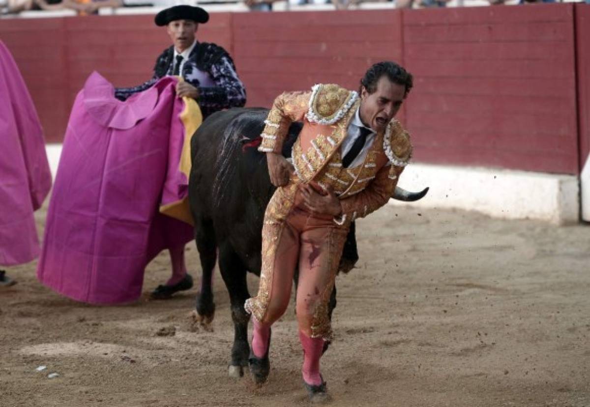 Las últimas palabras del torero Iván Fandiño antes de morir