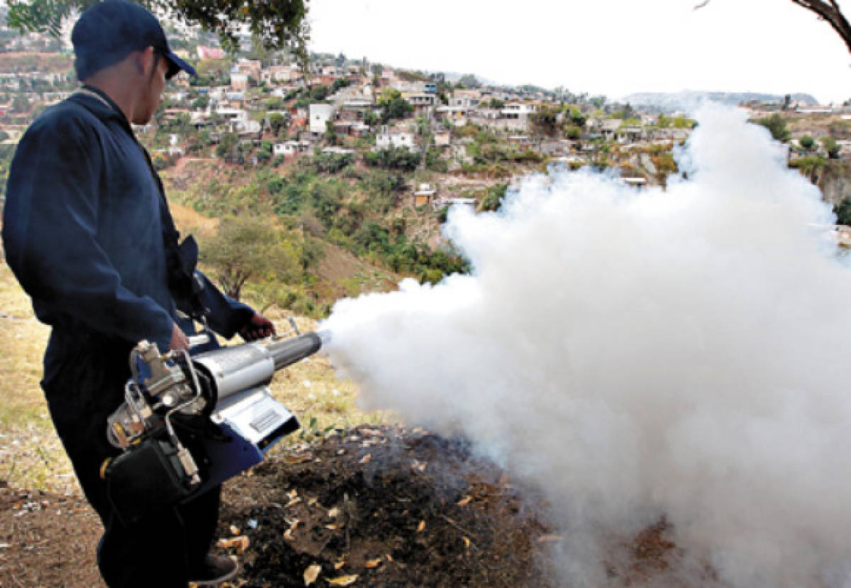 Destinan 40 millones para la lucha contra el dengue