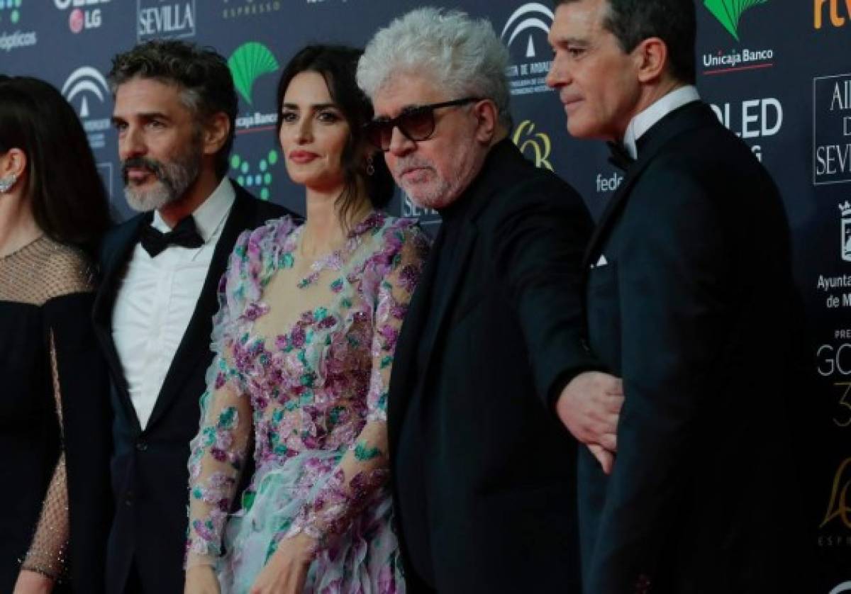 Penélope Cruz y Antonio Banderas actuarán en nueva película de argentinos Cohn y Duprat