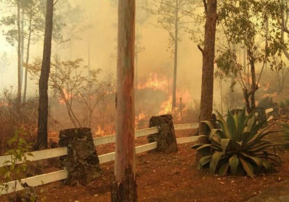 Incendio comienza a devorar un sector del Parque Recreativo Aurora