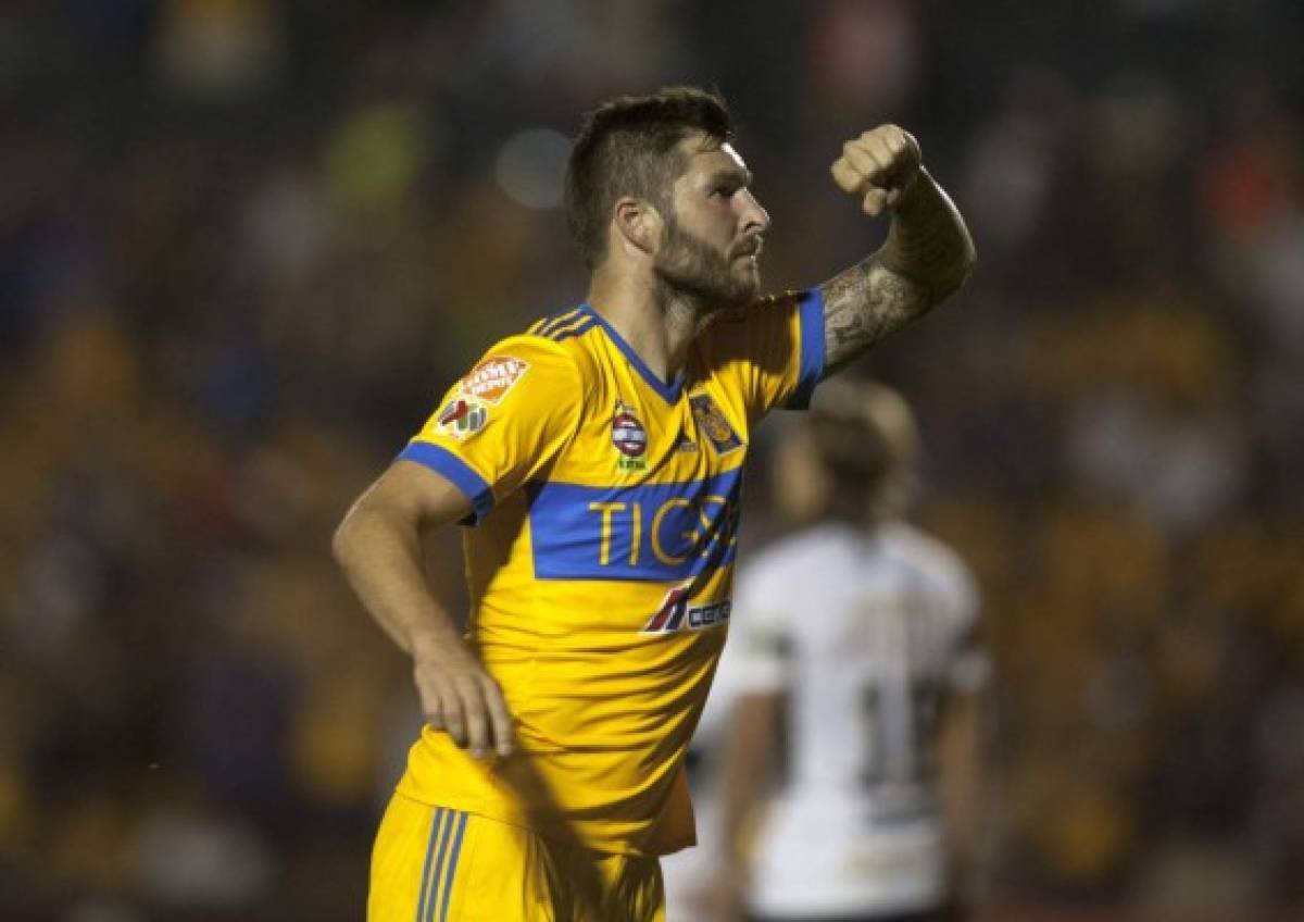 Delantero francés André-Pierre Gignac conoce a su tocayo felino en zoológico mexicano