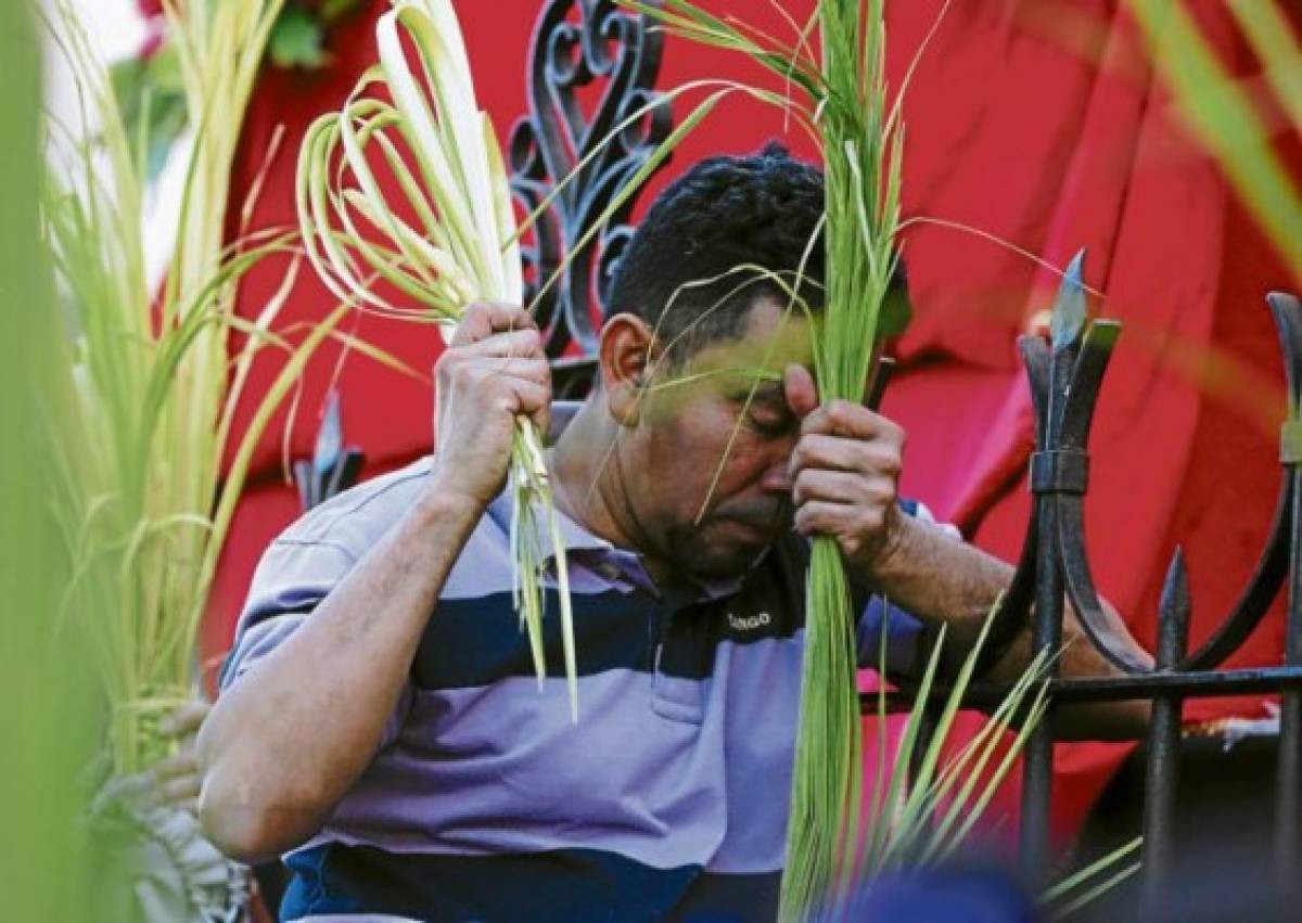 Feligresía católica clama por paz para Honduras en Domingo Ramos