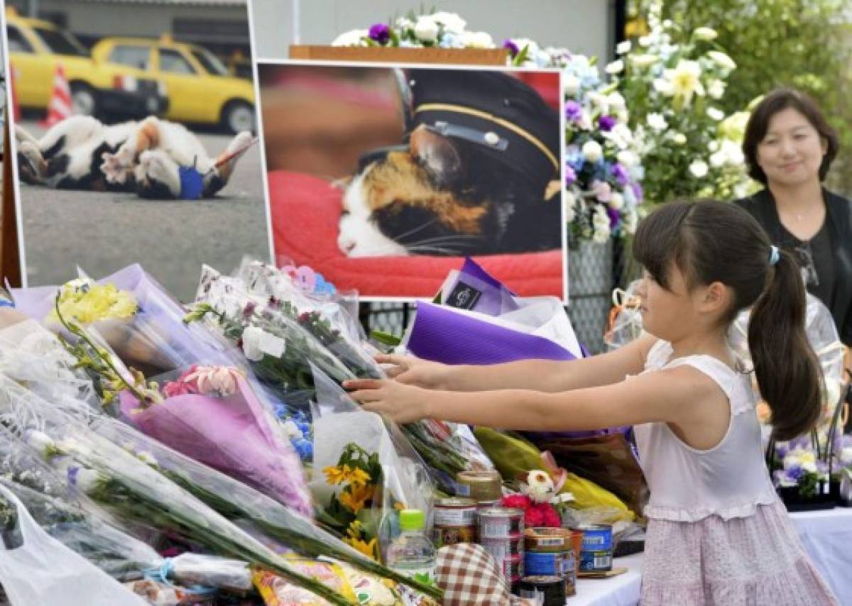 Japón llora la muerte de Tama, la gata jefe de estación