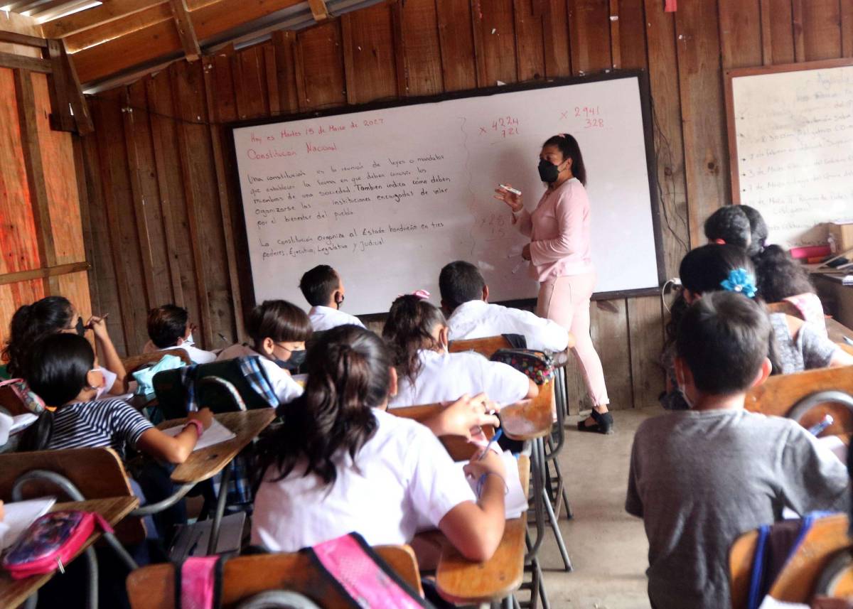 Maestros con título en Honduras tienen aprobado concurso docente
