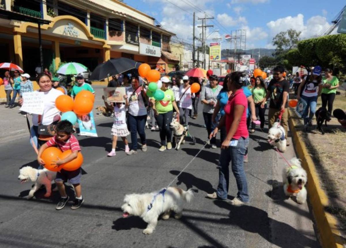 Honduras: Exigen protección para sus fieles amigos