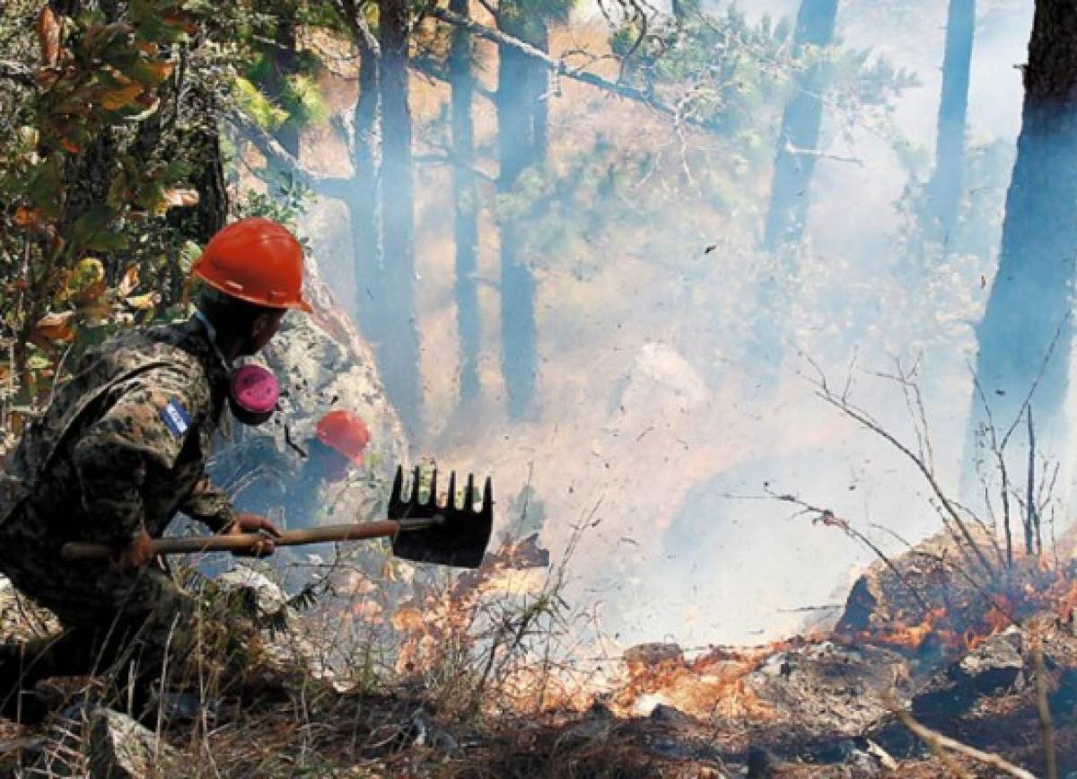 Mano criminal en casi el 100% de los incendios forestales en el Distrito Central   