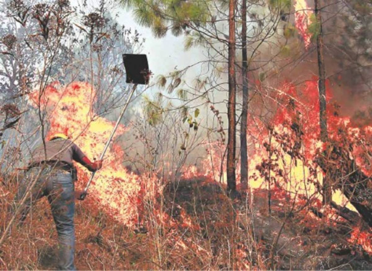 Libran requerimiento contra 11 pirómanos