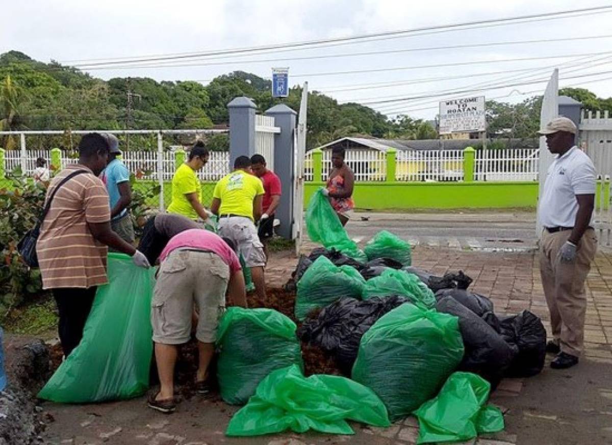 Algas marinas inundan playas de Roatán