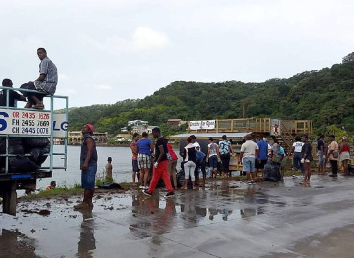 Algas marinas inundan playas de Roatán