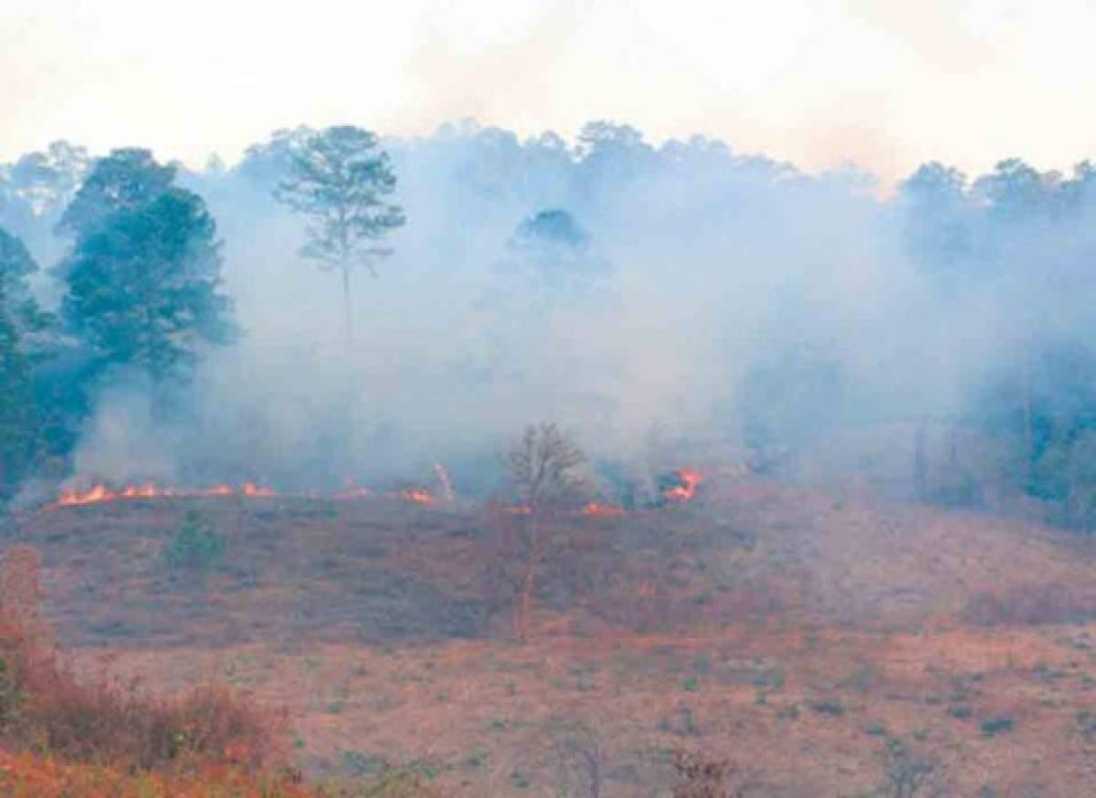 A cero disminuyen incendios en el DC