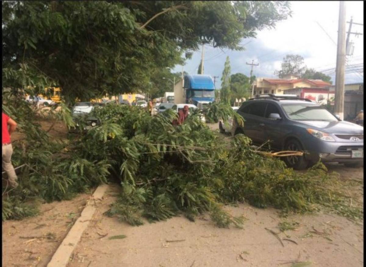 Ingreso de onda tropical se hace sentir en Honduras con lluvias y vientos