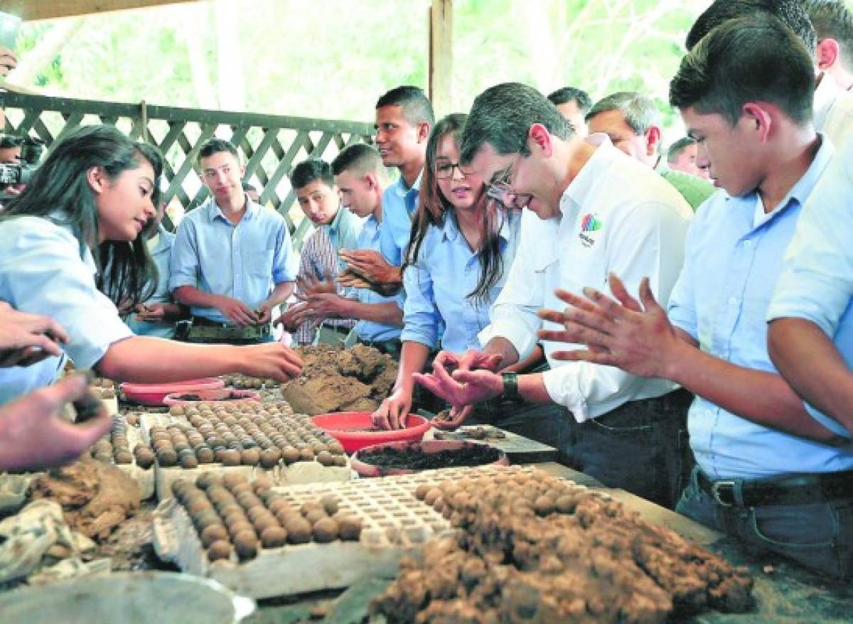 Reforestación aérea, la nueva apuesta para recuperar los bosques